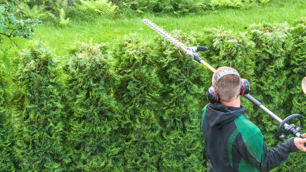 Un échafaudage pliable pour le jardin : bonne idée ?