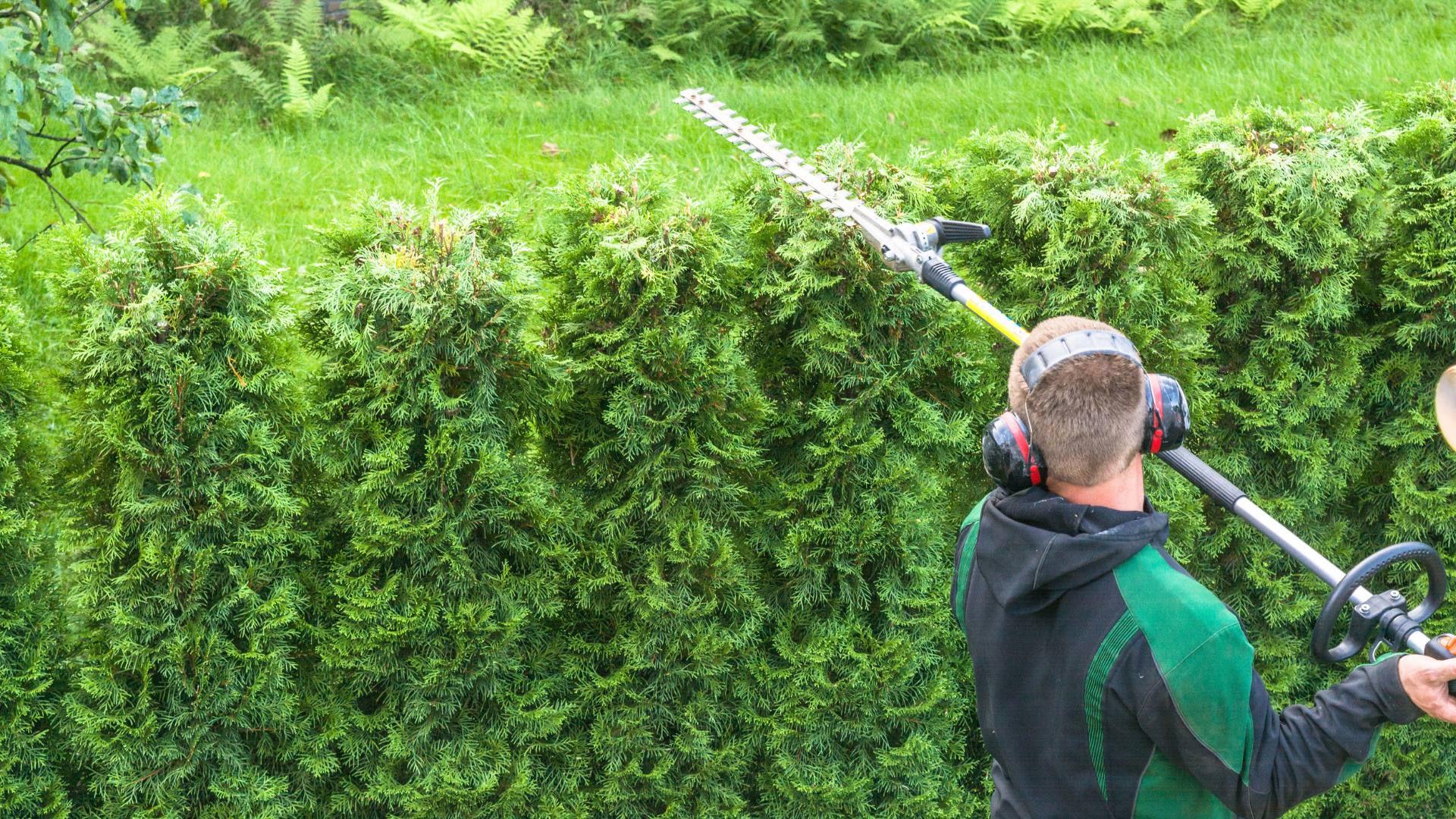 Un échafaudage pliable pour le jardin : bonne idée ?