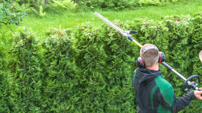 Un échafaudage pliable pour le jardin : bonne idée ?